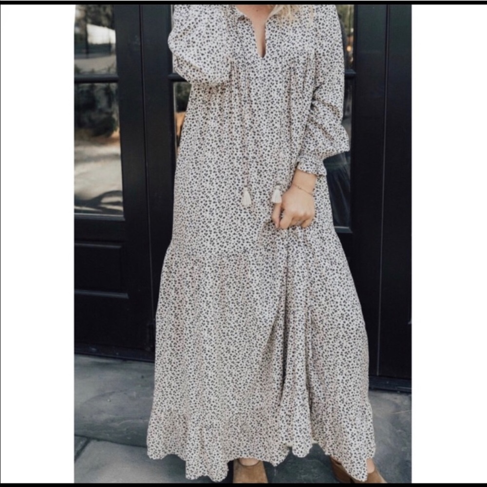 Leopard print Laurel CJLA
